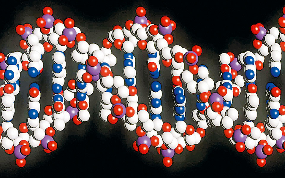 μυστήριο-ο-πραγματικός-αριθμός-των-γο-2257452