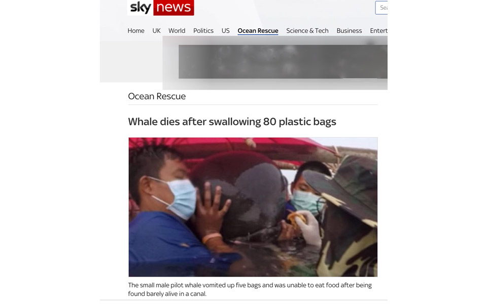 ταϊλάνδη-νεκρή-φάλαινα-με-18-κιλά-πλαστ-2253880