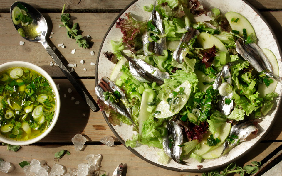 γαύρος-φρεσκομαρινάτος-με-σάλτσα-μαϊ-2254714