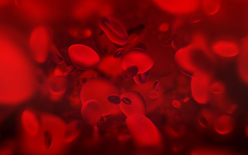 19-ιουνίου-παγκόσμια-ημέρα-δρεπανοκυττ-2256996