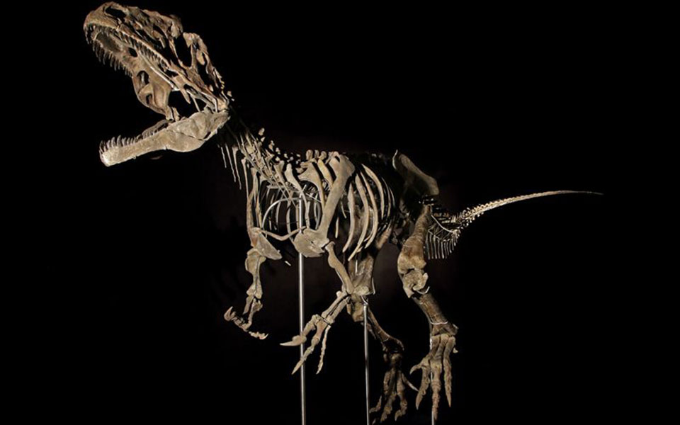 σκελετός-δεινοσαύρου-πουλήθηκε-σε-ιδ-2254153