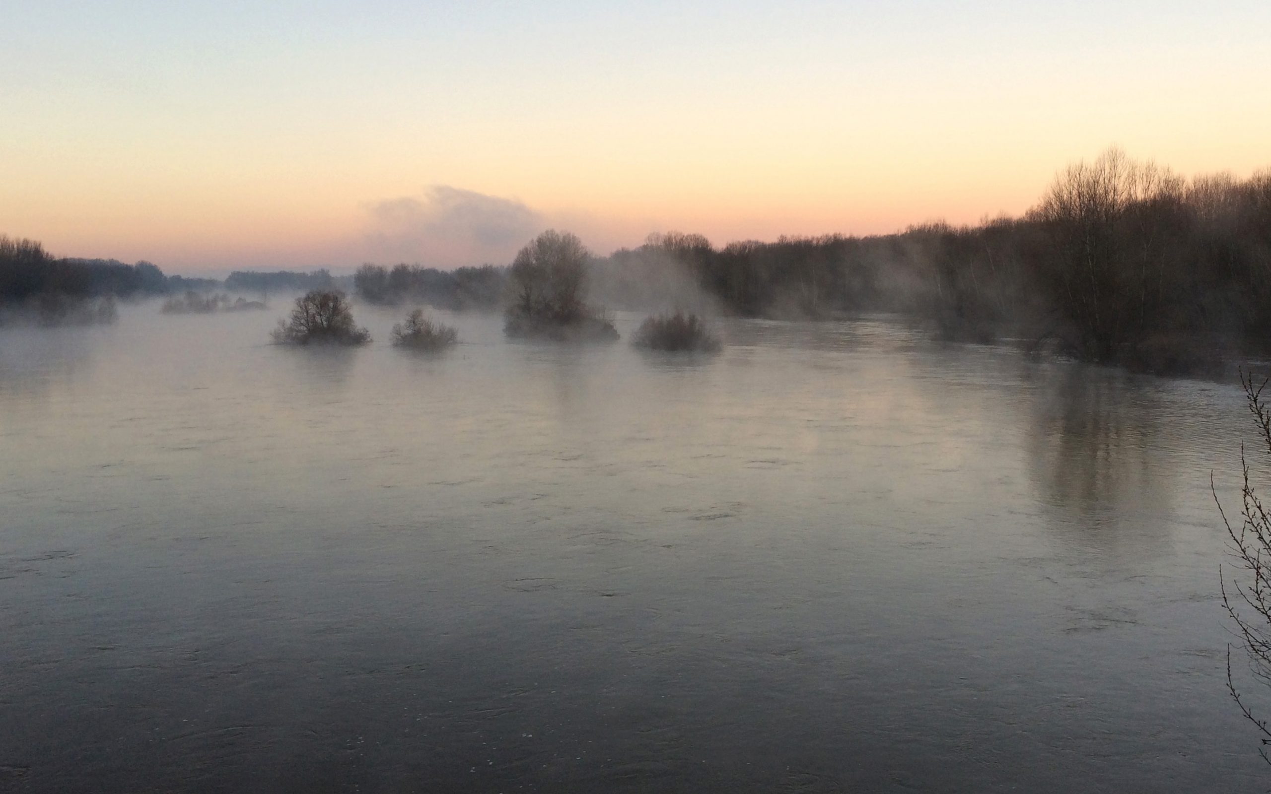 humanrights360-για-38-πρόσφυγες-στον-έβρο-εσφαλμένα-2254337