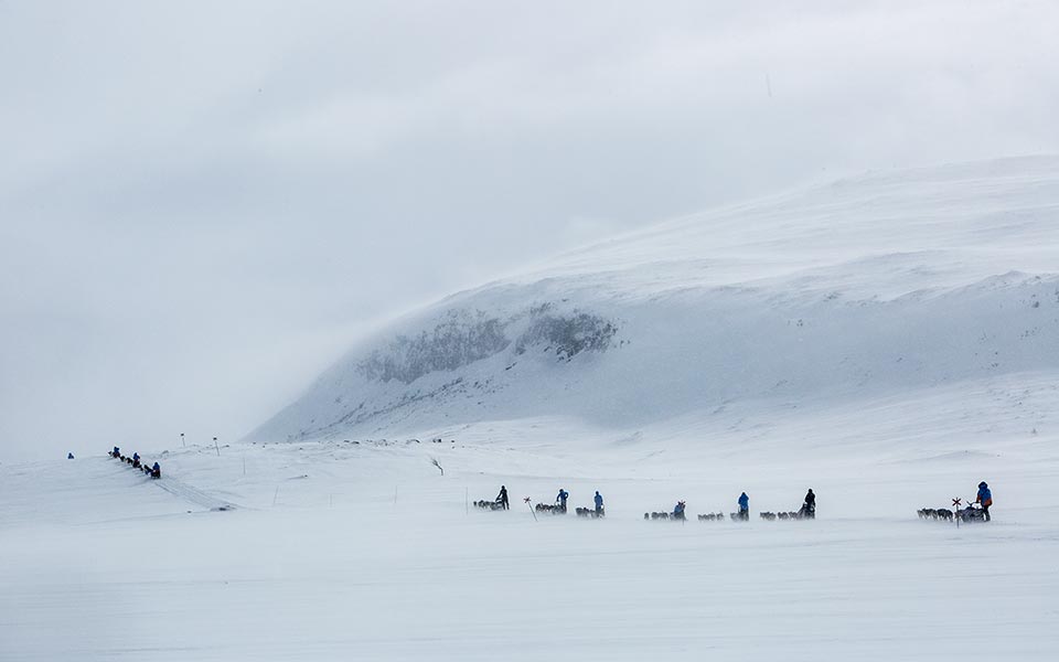 ένας-survivor-του-ψύχους-2257825