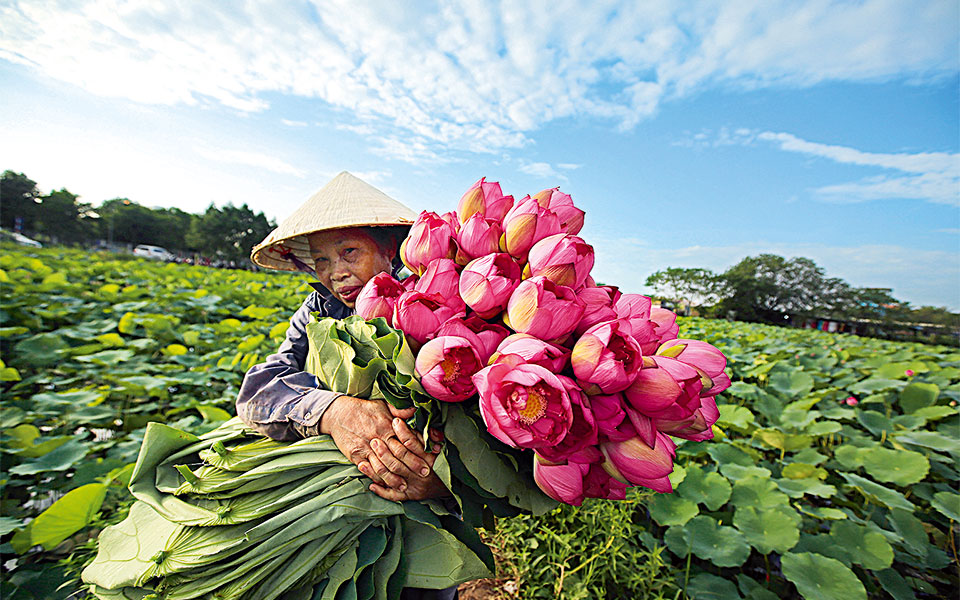 ανόϊ-βιετνάμ-2257567