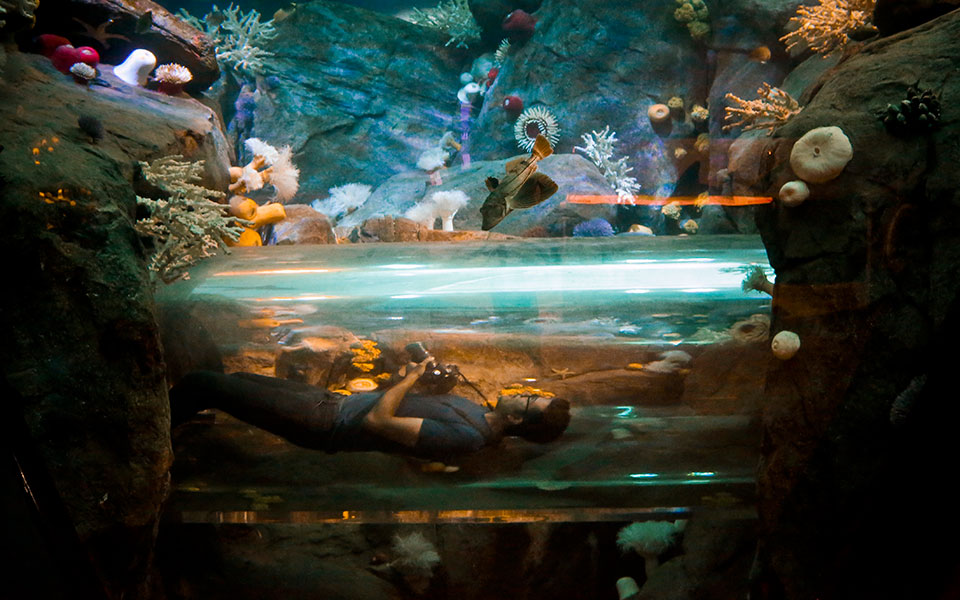 ματιές-στον-κόσμο-2259305