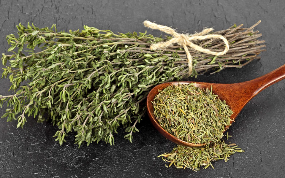 θυμάρι-άρωμα-ελληνικού-καλοκαιριού-2255862