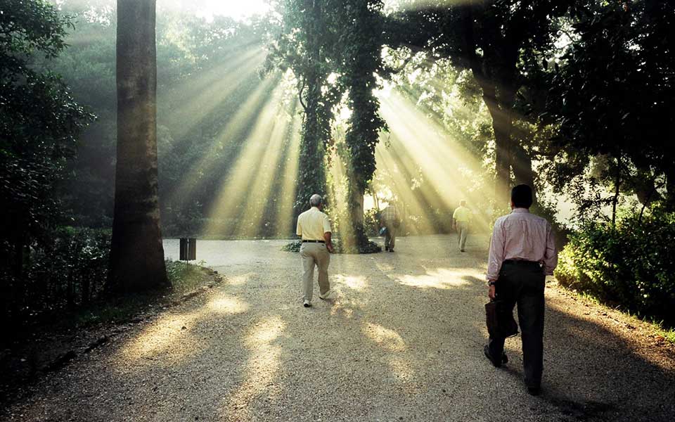 ο-εθνικός-κήπος-αναγεννάται-χάρις-στη-2259904