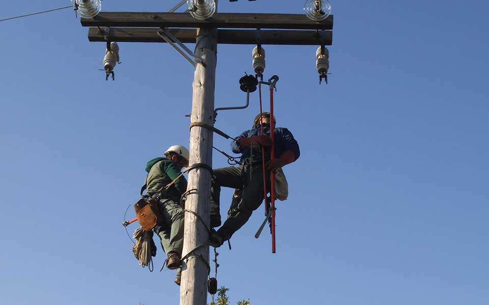 ο-δηκτησ-05-07-18-2260469