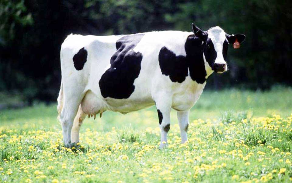 φίτζι-τεχνολογία-εμβρυομεταφοράς-στ-2260278