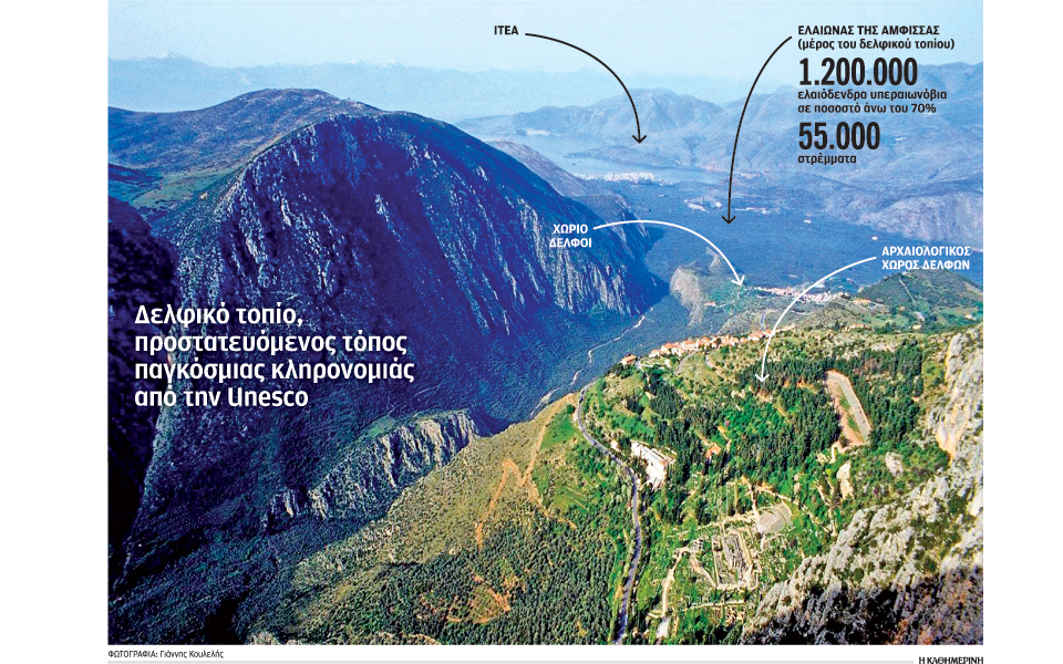 ο-ομφαλός-των-δελφικών-ελαιώνων-2261060