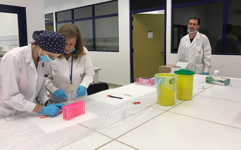 τα-ορφανά-δείγματα-dna-από-σορούς-και-η-2264491