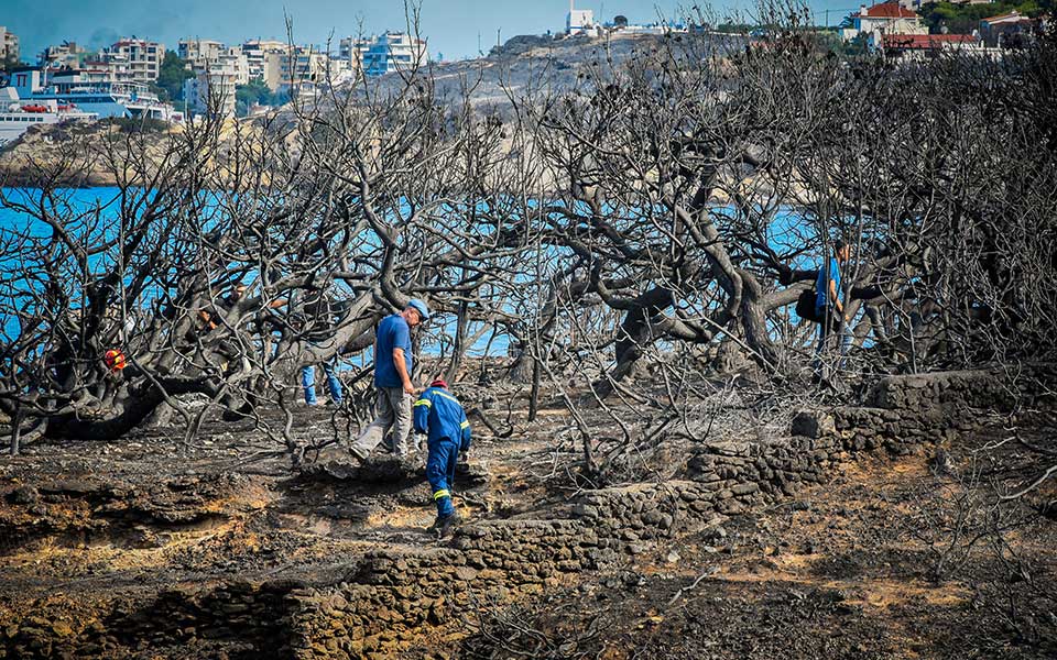 σύγχυση-άγνοια-και-έλλειψη-συντονισμ-2265102