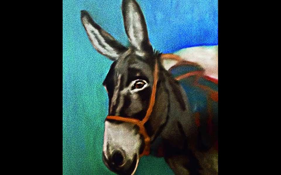 η-πολιτιστική-ατζέντα-της-τρίτης-2265123