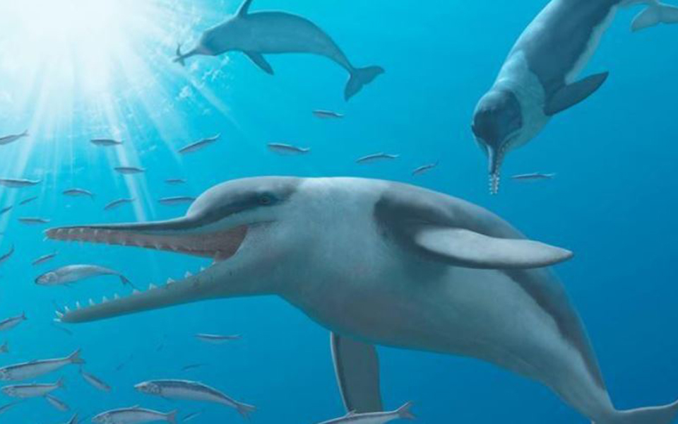 τα-πρώτα-ζώα-της-γης-είχαν-προκαλέσει-κ-2259825