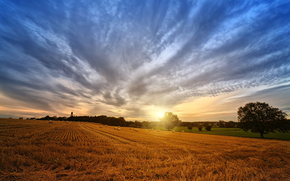 η-αγροτική-βιομηχανία-στρέφεται-στη-δ-2262148