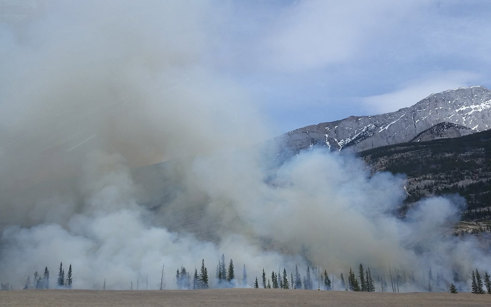 guardian-διακριτέα-τα-δακτυλικά-αποτυπώματα-2264845
