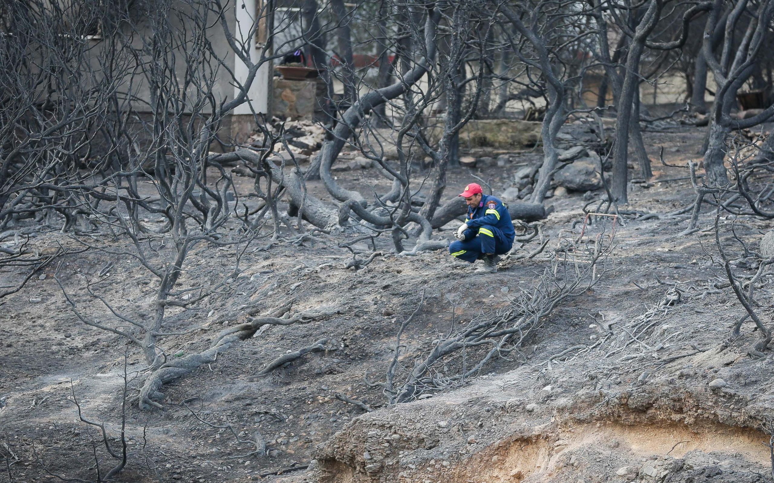 ερευνα-για-τα-αίτια-της-πυρκαγιάς-διέτ-2263925