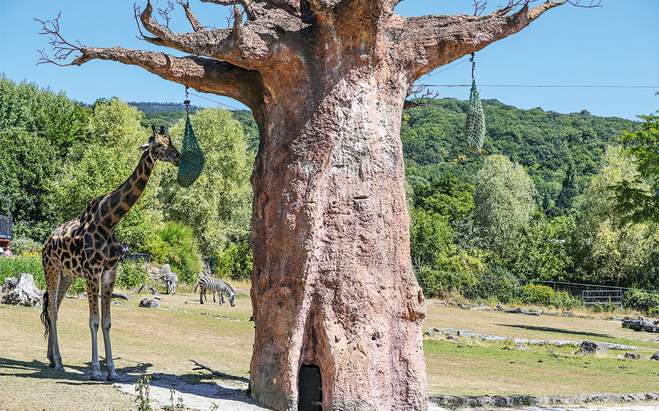 εσση-γερμανία-2263089