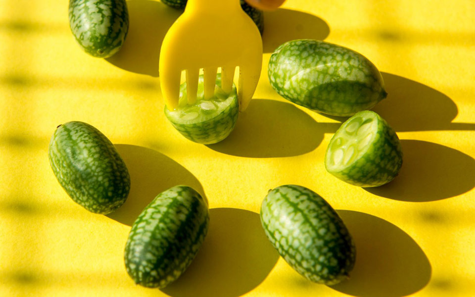 cucamelon-τα-φωτογενή-2262716
