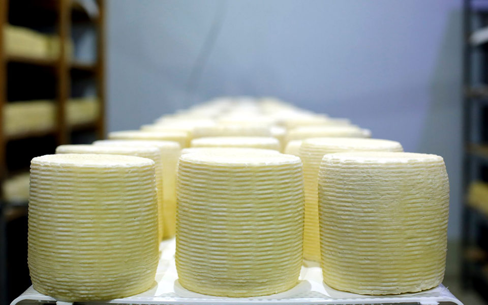 τυριά-βουτηγμένα-στο-λάδι-2260542