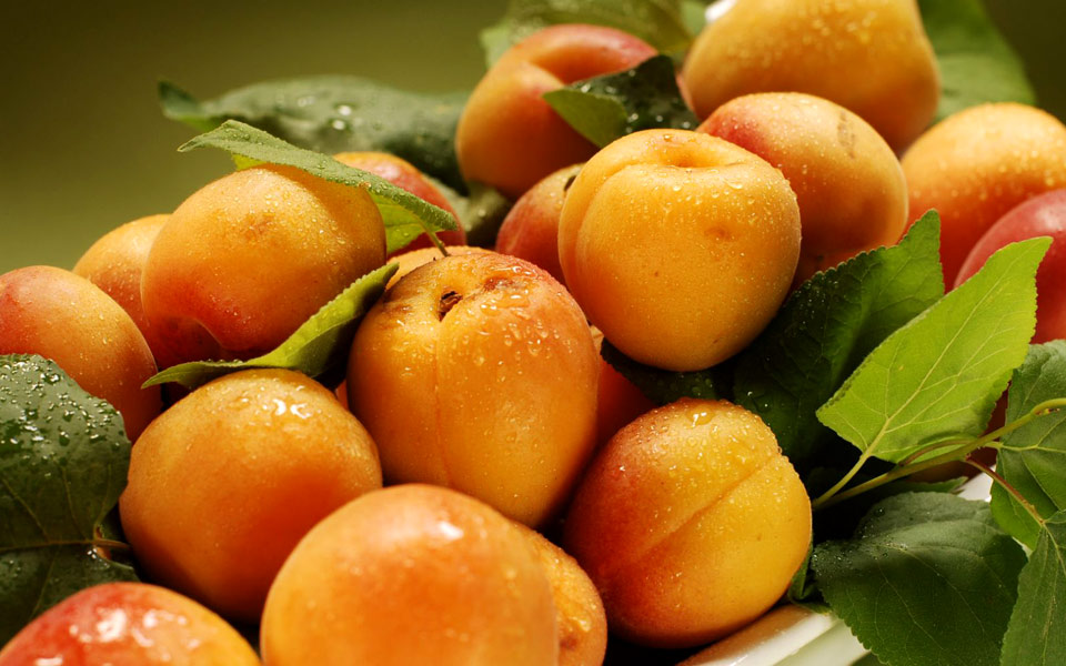 ξερά-βερίκοκα-από-σπίτι-2262532
