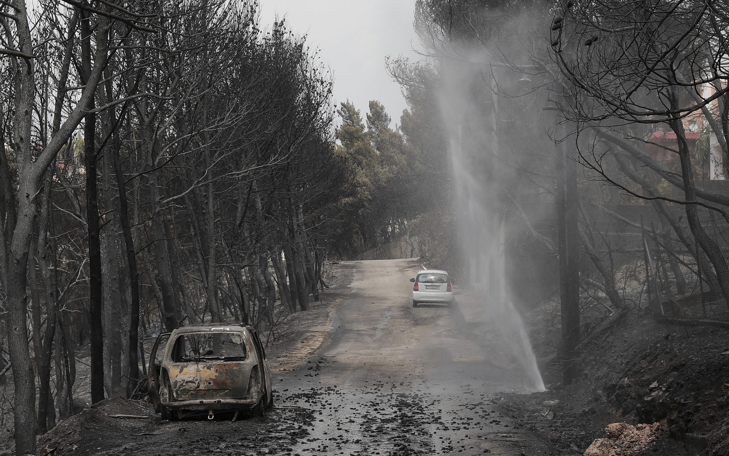 νέα-ενημέρωση-νοσηλεύονται-60-ενήλικες-2264214