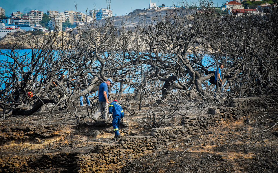 ο-δηκτησ-28-07-2018-2264737
