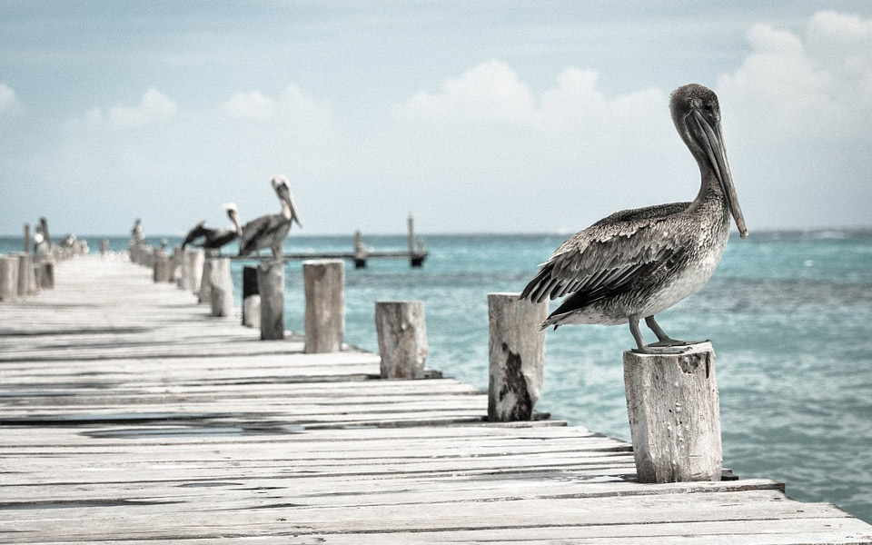 ηλιοφάνεια-με-λίγα-σύννεφα-για-σήμερα-2262473