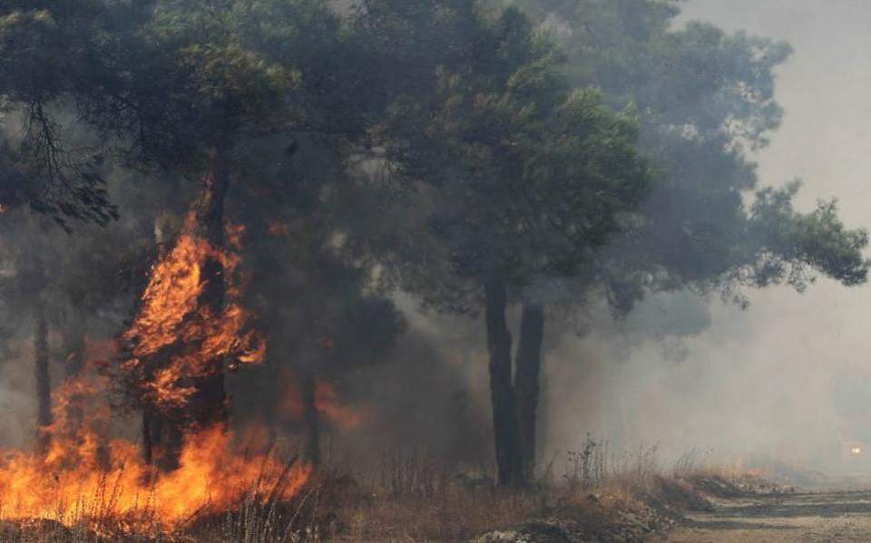 πυρκαγιά-σε-δασική-έκταση-στη-ζάκυνθο-2264248