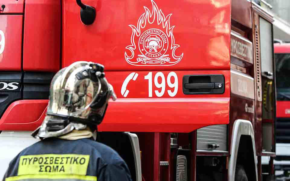 πυρκαγιά-σε-δασική-έκταση-στην-περιοχ-2260284