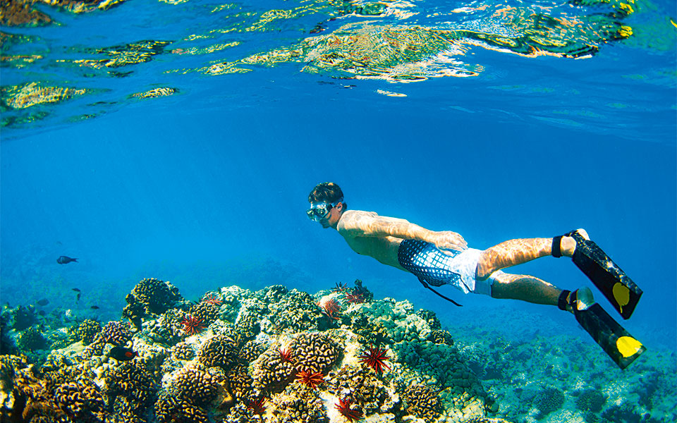 η-χαβάη-προστατεύει-τα-κοράλλια-της-2261901