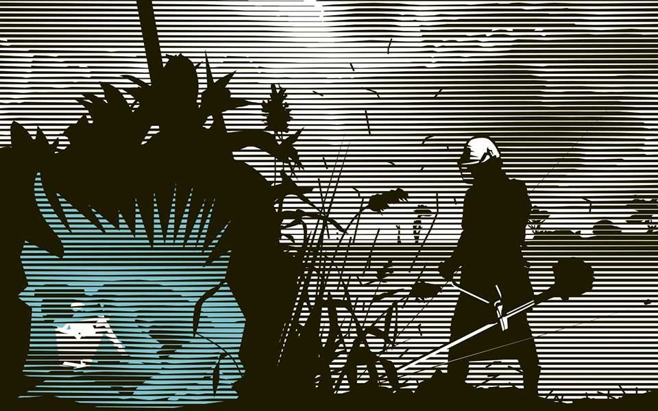 η-πολιτιστική-ατζέντα-της-παρασκευής-2265711