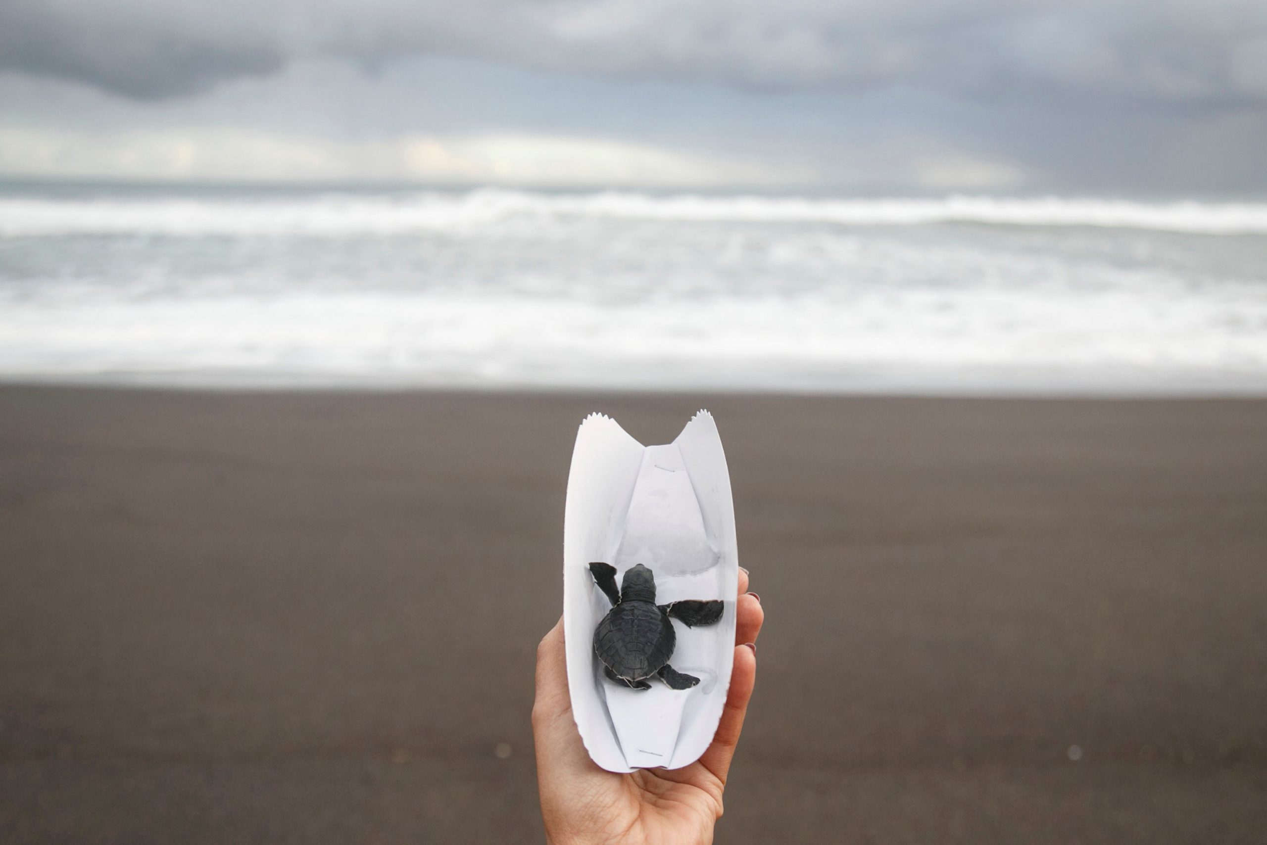 φωτογραφήματα-2266444