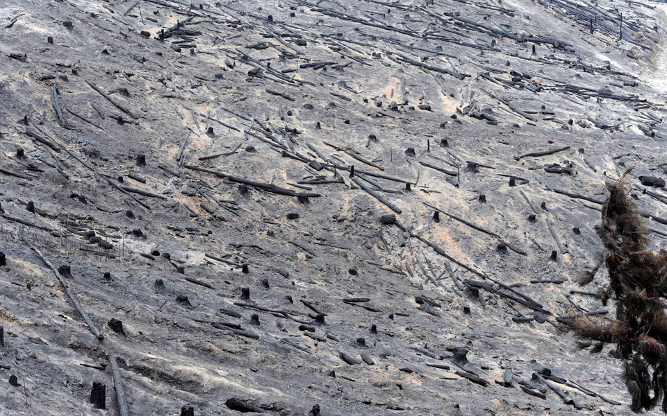 δύο-πυρκαγιές-δύο-κουλτούρες-2266017