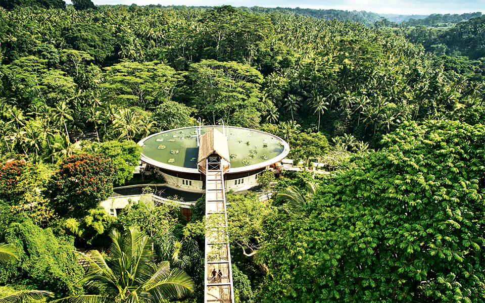 μια-νύχτα-στα-καλύτερα-2269249