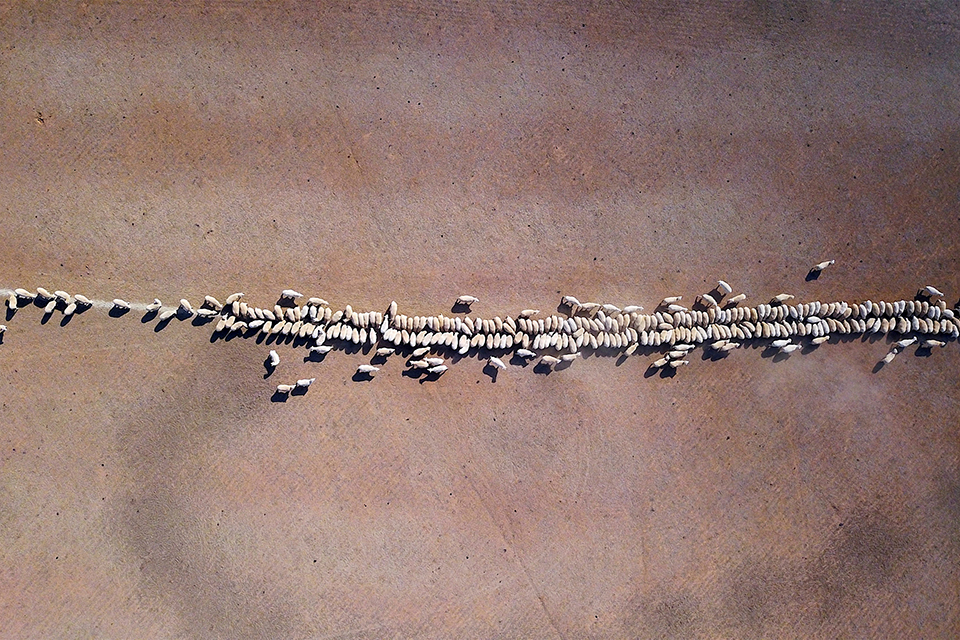 φωτογραφήματα-2266457