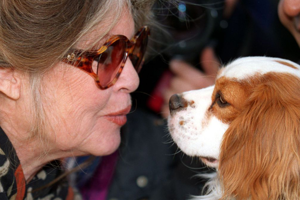 η-brigitte-bardot-σε-μια-μάχη-μέχρι-τέλους-2266237