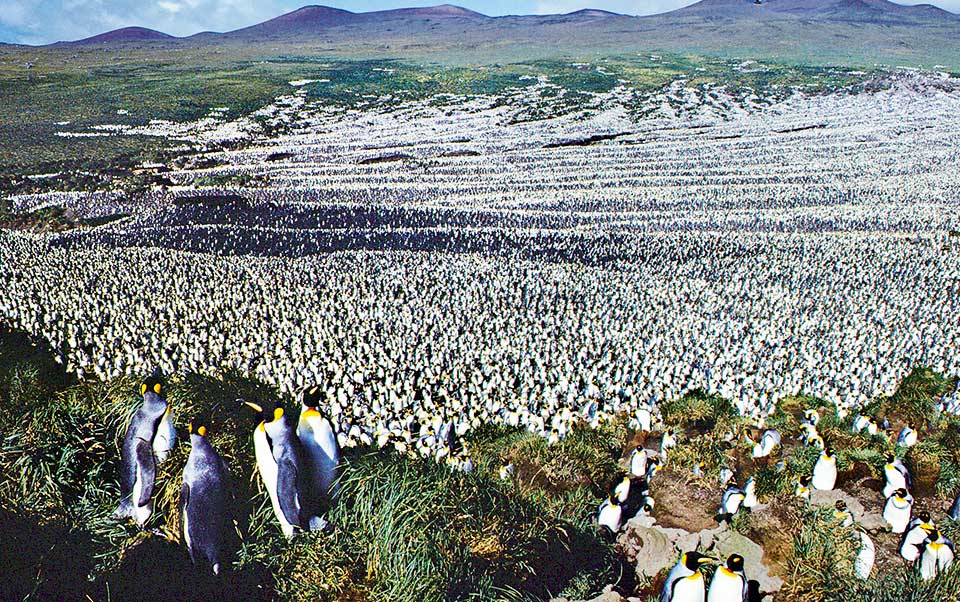 η-κλιματική-αλλαγή-τρομάζει-την-ευρώπ-2265390