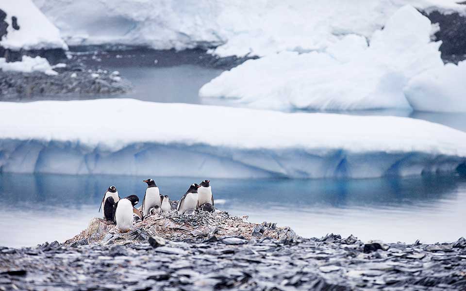 η-γαία-ο-θεός-και-το-φαινόμενο-ντόμινο-2266583