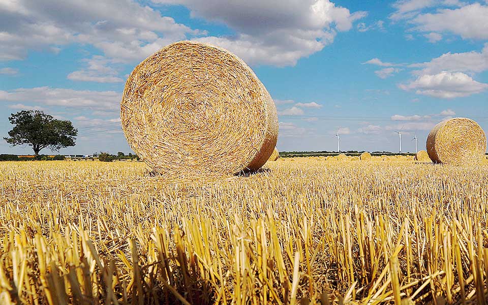 μεταγραφές-γονιδίων-για-ανθεκτικά-σι-2268187