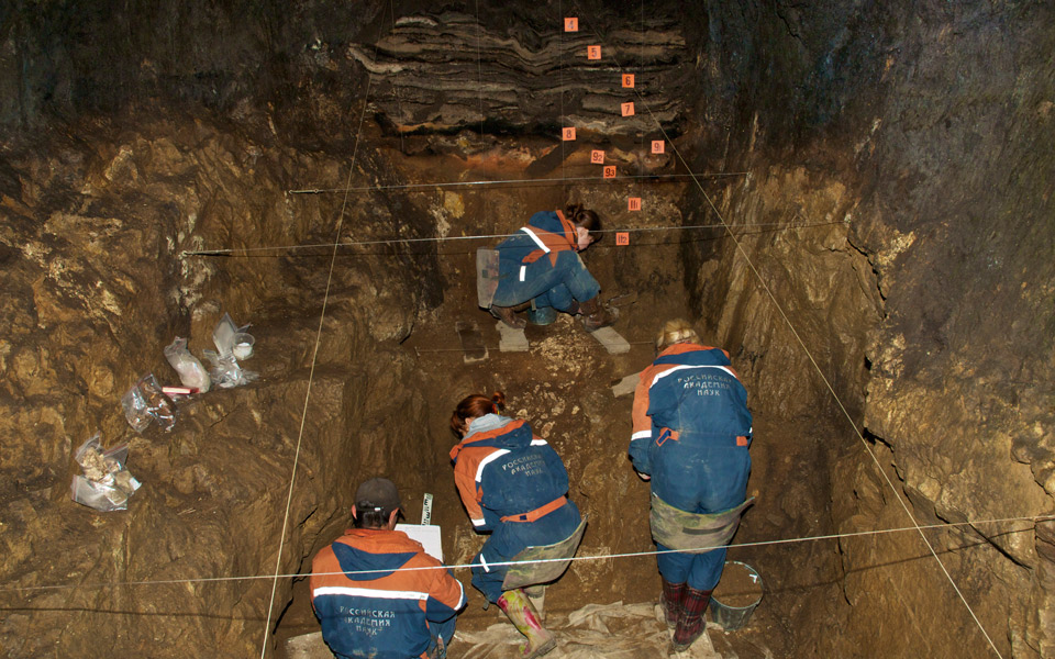μικροσκοπικό-απολίθωμα-οστού-αποδει-2268883