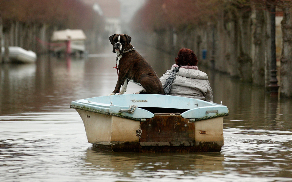ανησυχητικά-τα-αποτελέσματα-έρευνας-2267745