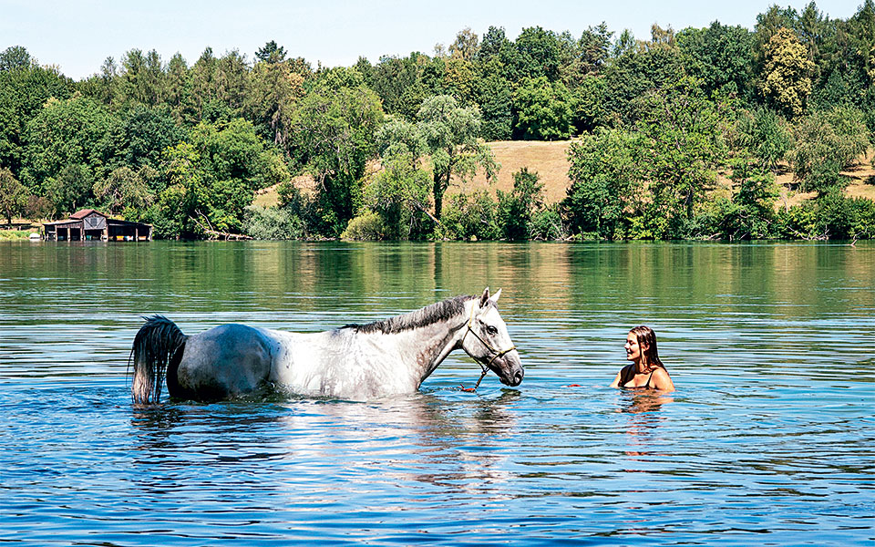 ζυρίχη-ελβετία-2265601