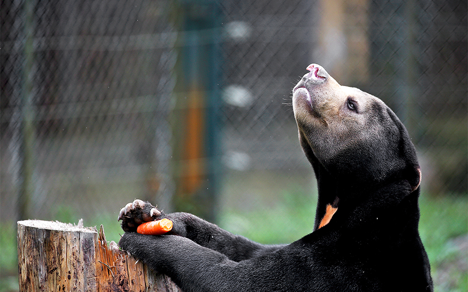 ανόι-βιετνάμ-2269072