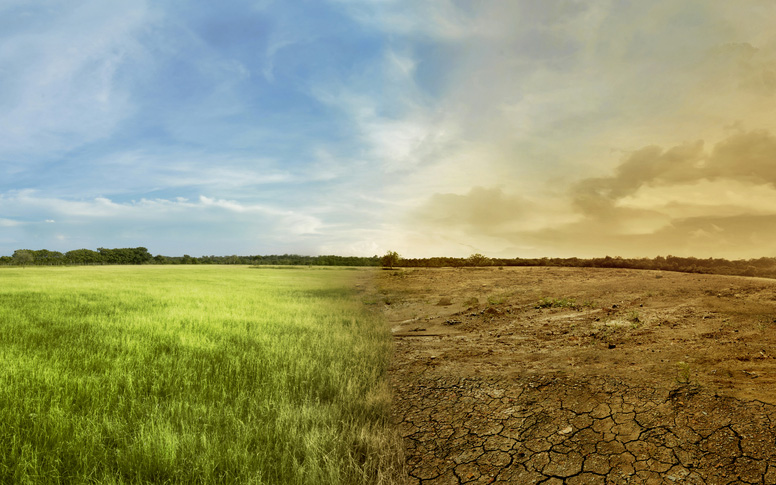 ερευνα-δάση-και-έρημοι-απειλούνται-με-2270276