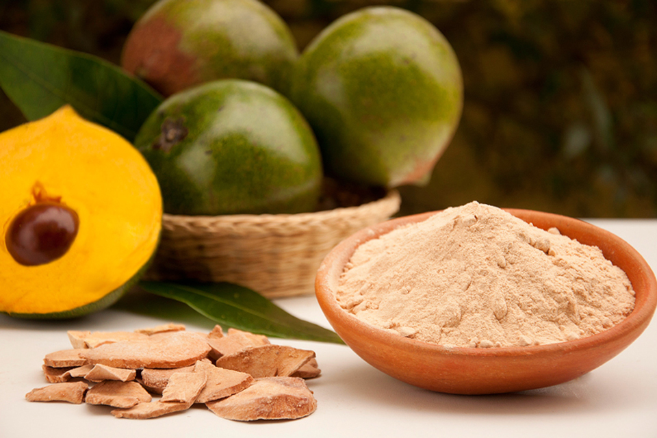 lucuma-ο-χρυσός-των-ίνκας-φόβος-για-τα-γηρ-2270205