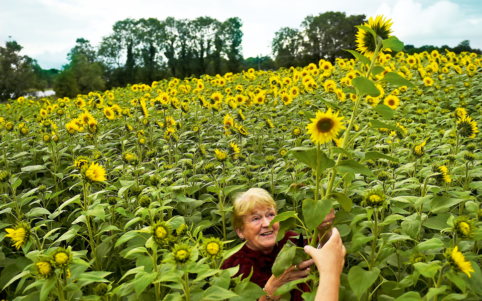 ballygawley-ιρλανδία-2268024