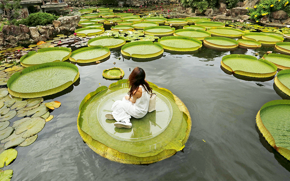 ταϊπέι-ταϊβάν-2269070