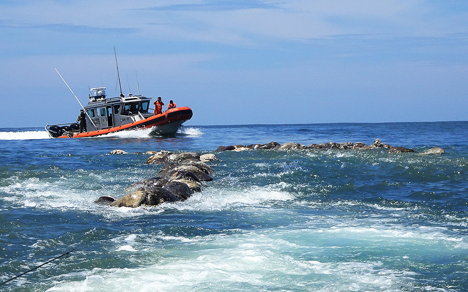 μεξικό-νεκρές-βρέθηκαν-εκατοντάδες-θ-2269923