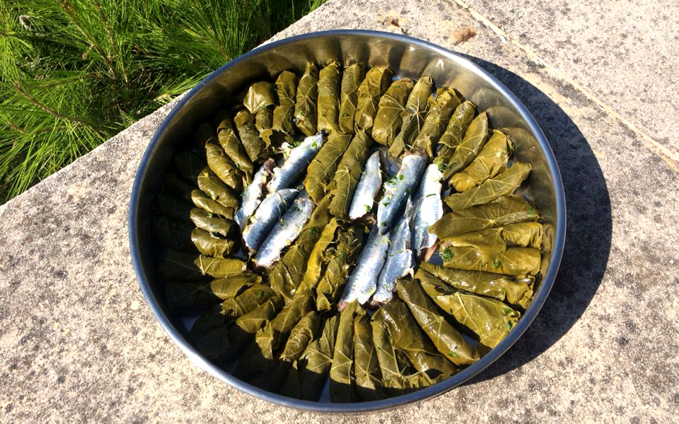 τo-θήτα-του-θέρους-2268417